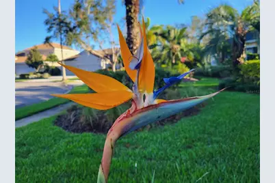 6614 Tallmast Circle, Lakewood Ranch, FL 34202 - Photo 81