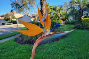 6614 Tallmast Cir, Lakewood Ranch, FL 34202 - Photo 81