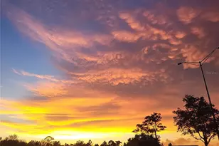 6614 Tallmast Cir, Lakewood Ranch, FL 34202 - Photo 97