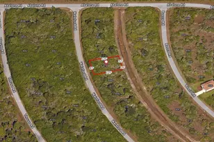 [Address not provided], Port Charlotte, FL 33981 - Photo 1