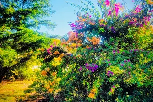 3530 Schwalbe Dr, Sarasota, FL 34235 - Photo 3