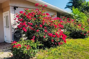 3530 Schwalbe Dr, Sarasota, FL 34235 - Photo 5