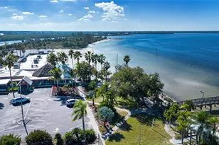3036 Christophers Watch Ln, Ruskin, FL 33570 - Photo 71