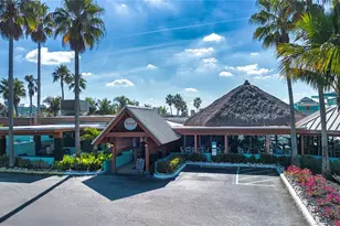 3036 Christophers Watch Ln, Ruskin, FL 33570 - Photo 61