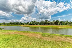 14359 Skipping Stone Loop, Parrish, FL 34219 - Photo 43