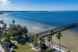 457 Bahia Beach Blvd, Ruskin, FL 33570 - Photo 45