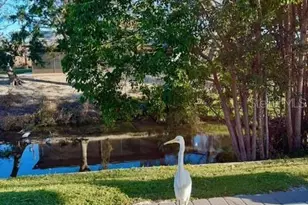 3149 Homasassa Rd, Sarasota, FL 34239 - Photo 59