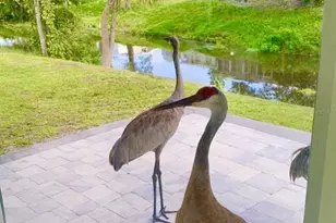 3149 Homasassa Rd, Sarasota, FL 34239 - Photo 51