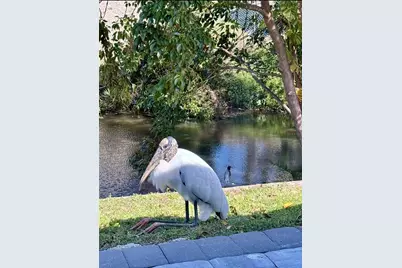 3149 Homasassa Road, Sarasota, FL 34239 - Photo 59