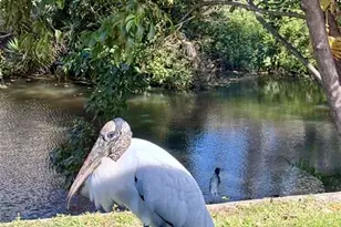 3149 Homasassa Rd, Sarasota, FL 34239 - Photo 59