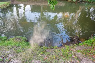 3149 Homasassa Rd, Sarasota, FL 34239 - Photo 49