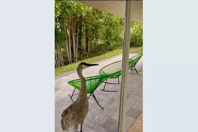 3149 Homasassa Road, Sarasota, FL 34239 - Photo 49