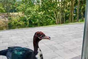 3149 Homasassa Rd, Sarasota, FL 34239 - Photo 53