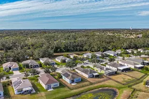 9830 50th St Cir E, Parrish, FL 34219 - Photo 35