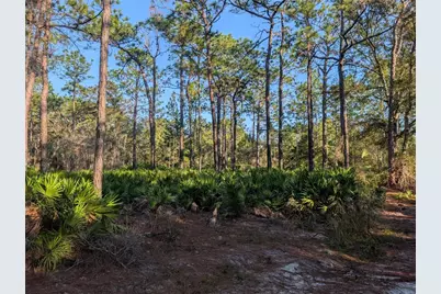 W Rosedale Drive, Homosassa, FL 34448 - Photo 7