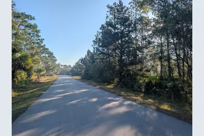 W Rosedale Drive, Homosassa, FL 34448 - Photo 5