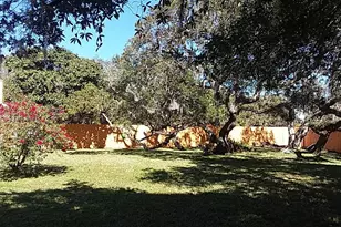 322 Buena Vista Ave, Sarasota, FL 34243 - Photo 3