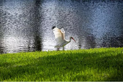 5240 Hyland Hills Avenue #1424, Sarasota, FL 34241 - Photo 41