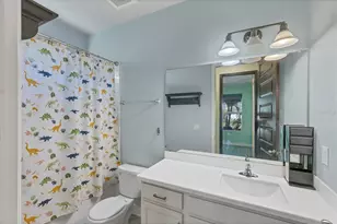 3914 Sunshine Pine Ave, Bradenton, FL 34203 - Photo 25