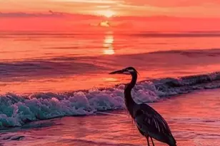 5876 Biscotti St, Nokomis, FL 34275 - Photo 23