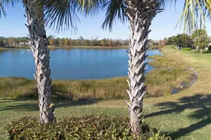 16915 Loudon Pl, Bradenton, FL 34202 - Photo 53