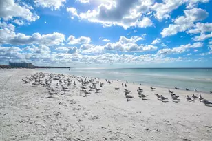 6006 Midnight Pass Rd, Sarasota, FL 34242 - Photo 29