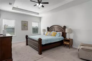 16129 67th Ct E, Parrish, FL 34219 - Photo 21