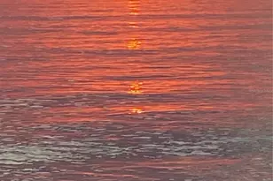 1111 Ritz Carlton Dr, Sarasota, FL 34236 - Photo 71