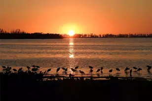 4855 Independence Dr, Bradenton, FL 34210 - Photo 69