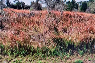 Jaylene Rd, North Port, FL 34288 - Photo 1