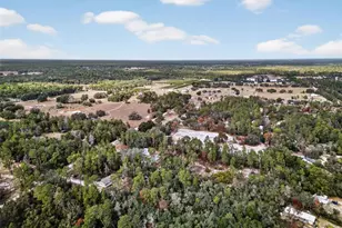 41901 Pine Valley Dr, Paisley, FL 32767 - Photo 15