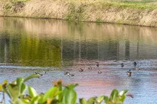 5969 San Michelle Dr, Sarasota, FL 34243 - Photo 51