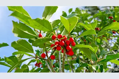 836 Waterside Lane, Bradenton, FL 34209 - Photo 9