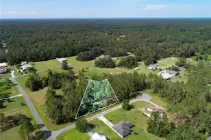 0 88th Trail, Live Oak, FL 32060 - Photo 1