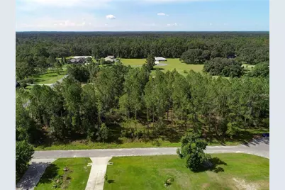 0 88th Trail, Live Oak, FL 32060 - Photo 5
