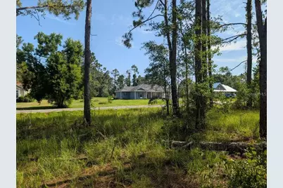 0 88th Trail, Live Oak, FL 32060 - Photo 7