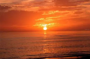 1518 Pelican Point Dr, Sarasota, FL 34231 - Photo 29