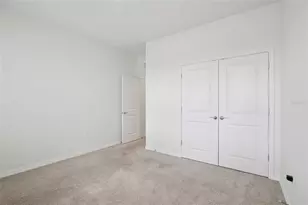 3742 Mossy Limb Ct, Palmetto, FL 34221 - Photo 23