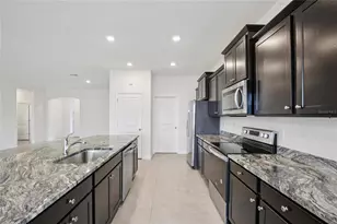 3742 Mossy Limb Ct, Palmetto, FL 34221 - Photo 11