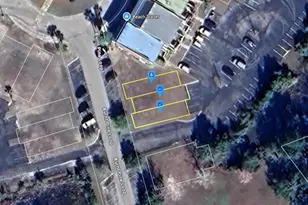 18 Burnt Pine Loop, Saint Marks, FL 32355 - Photo 1