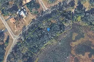 8687 E Gospel Island Rd, Inverness, FL 34450 - Photo 1