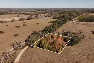 1179 NW Jersey Rd, Greenville, FL 32331 - Photo 1