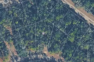 815 E Panama Dr, Dunnellon, FL 34434 - Photo 1