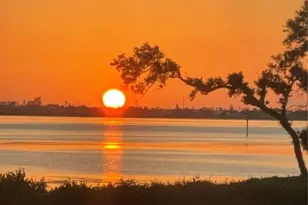 310 Compass Point Dr, Bradenton, FL 34209 - Photo 3