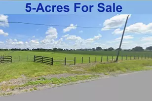 34305 Clay Gully Rd, Myakka City, FL 34251 - Photo 1
