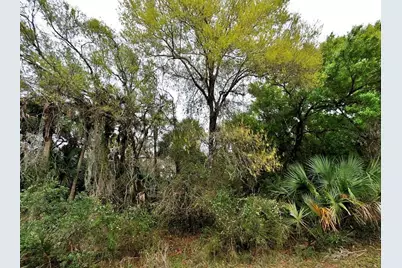 Backert Rd., North Port, FL 34291 - Photo 1