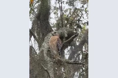 8083 Waterbend Trail, Sarasota, FL 34240 - Photo 49