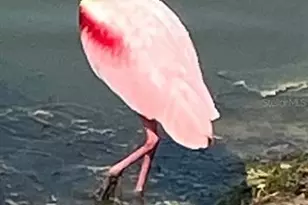 8083 Waterbend Trl, Sarasota, FL 34240 - Photo 53