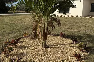 2383 SW 2nd Ct, Okeechobee, FL 34974 - Photo 11