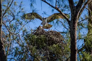 4409 Mt Vernon Dr, Bradenton, FL 34210 - Photo 69
